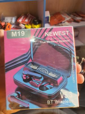 M19 Earbuds